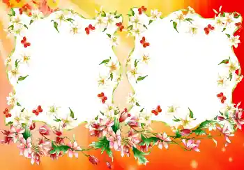 Foto effect van de categorie Verschillend № 4894