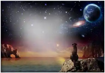 Foto effect van de categorie Verschillend № 49504