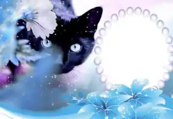 Foto effect van de categorie Verschillend № 50647