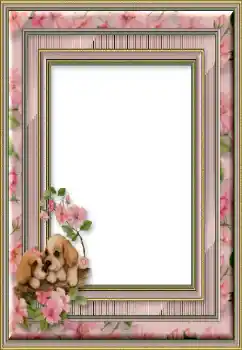 Foto effect van de categorie Verschillend № 50746