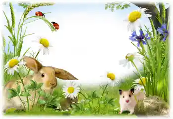 Foto effect van de categorie Verschillend № 50899