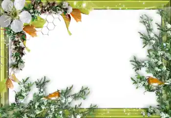 Foto effect van de categorie Verschillend № 52034