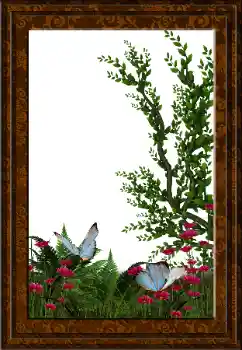 Foto effect van de categorie Verschillend № 52231