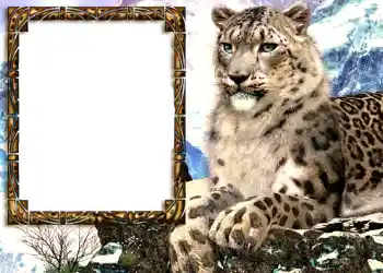 Foto effect van de categorie Verschillend № 585