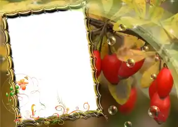 Foto effect van de categorie Verschillend № 588