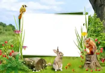 Foto effect van de categorie Verschillend № 59008