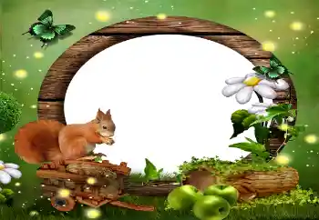 Foto effect van de categorie Verschillend № 59010