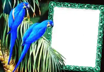 Foto effect van de categorie Verschillend № 60137