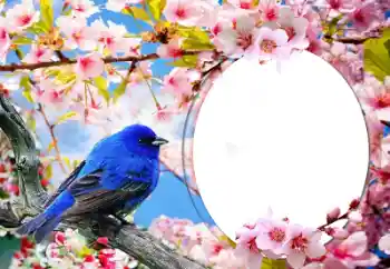 Foto effect van de categorie Verschillend № 60139