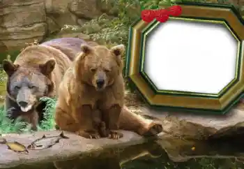 Foto effect van de categorie Verschillend № 60215