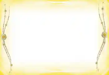 Foto effect van de categorie Verschillend № 60289