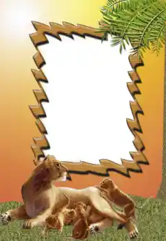 Foto effect van de categorie Verschillend № 62681