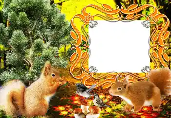 Foto effect van de categorie Verschillend № 64207