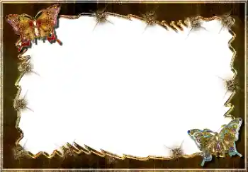 Foto effect van de categorie Verschillend № 64448