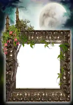 Foto effect van de categorie Verschillend № 64455