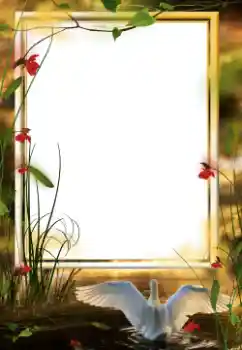 Foto effect van de categorie Verschillend № 64458