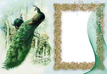 Foto effect van de categorie Verschillend № 64460