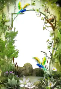 Foto effect van de categorie Verschillend № 64461