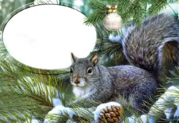 Foto effect van de categorie Verschillend № 65735