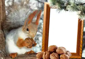 Foto effect van de categorie Verschillend № 65737