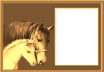 Foto effect van de categorie Verschillend № 67145