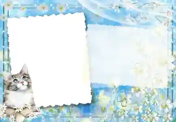 Foto effect van de categorie Verschillend № 67194