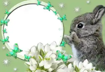 Foto effect van de categorie Verschillend № 67247