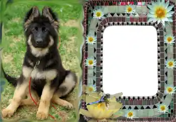 Foto effect van de categorie Verschillend № 68616