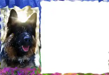 Foto effect van de categorie Verschillend № 68617