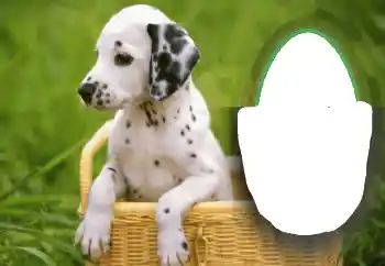 Foto effect van de categorie Verschillend № 68648