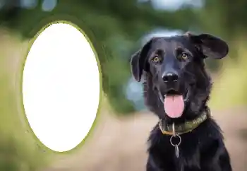 Foto effect van de categorie Verschillend № 68649