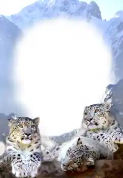 Foto effect van de categorie Verschillend № 68679