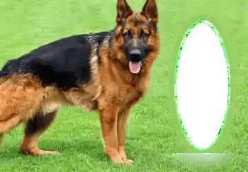 Foto effect van de categorie Verschillend № 68745