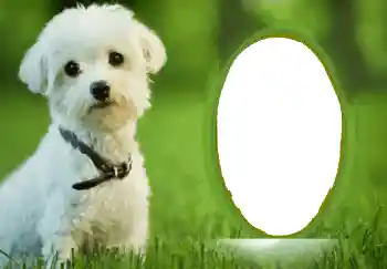 Foto effect van de categorie Verschillend № 68748