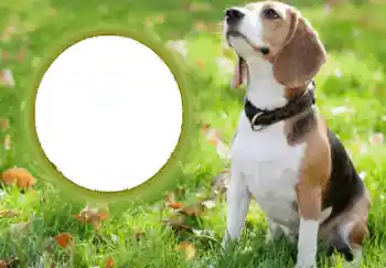 Foto effect van de categorie Verschillend № 68749 Foto effect van de categorie Verschillend № 68749