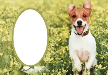 Foto effect van de categorie Verschillend № 68750 Foto effect van de categorie Verschillend № 68750