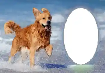 Foto effect van de categorie Verschillend № 68751 Foto effect van de categorie Verschillend № 68751