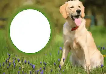 Foto effect van de categorie Verschillend № 68752 Foto effect van de categorie Verschillend № 68752