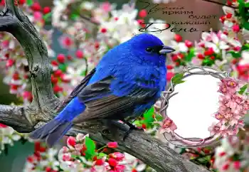 Opschrift op de lijst: Пусть ярким будет каждый День...