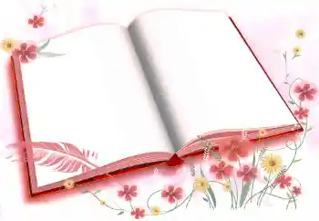 Foto effect van de categorie Verschillend № 72457