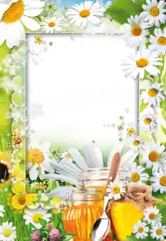 Foto effect van de categorie Verschillend № 73499 Foto effect van de categorie Verschillend № 73499