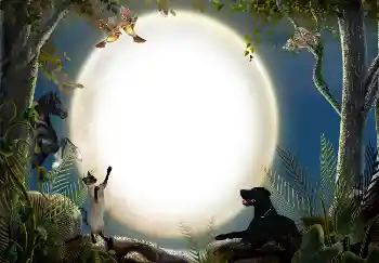 Foto effect van de categorie Verschillend № 7470