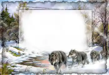 Foto effect van de categorie Verschillend № 7512