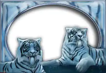 Foto effect van de categorie Verschillend № 7517