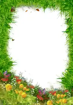 Foto effect van de categorie Verschillend № 80192 Foto effect van de categorie Verschillend № 80192