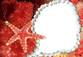 Foto effect van de categorie Verschillend № 80293