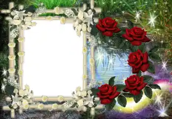 Foto effect van de categorie Verschillend № 80386 Foto effect van de categorie Verschillend № 80386