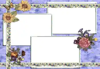 Foto effect van de categorie Verschillend № 81614 Foto effect van de categorie Verschillend № 81614