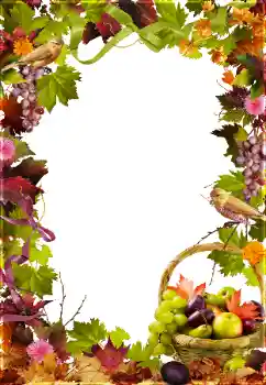 Foto effect van de categorie Verschillend № 81650 Foto effect van de categorie Verschillend № 81650