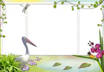 Foto effect van de categorie Verschillend № 84103 Foto effect van de categorie Verschillend № 84103